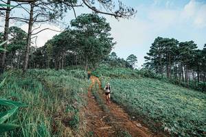 BIB: 
                            <button type="button" onclick="openModal(25654012)" class="btn btn-primary btn-sm float-right btn-popup" data-toggle="modal" data-target=".modal-high-quality">
                        <i class="fas fa-shopping-cart"></i> Add to Cart
                    </button>
                                            <button type="button" onclick="isThisMe(25654012, true)" class="btn btn-success btn-sm float-right btn-popup btn-isme hidden" data-toggle="tooltip" data-placement="bottom" title="นี่คือรูปของคุณใช่ไหม คลิกที่นี่เพื่อเอาเข้าอัลบั้ม">
                        <i class="fas fa-plus"></i> Add to album
                    </button>
                    <button type="button" onclick="isThisMe(25654012, false)" class="btn btn-warning btn-sm float-right btn-popup btn-isnotme hidden">
                        <i class="fas fa-ban"></i> Remove from album
                    </button>